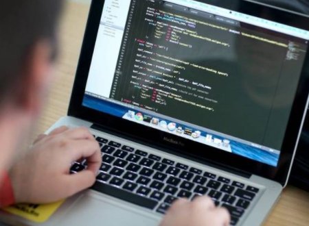 求彩虹岛小草所有脚本.. 尽量全吧..谢谢啊.