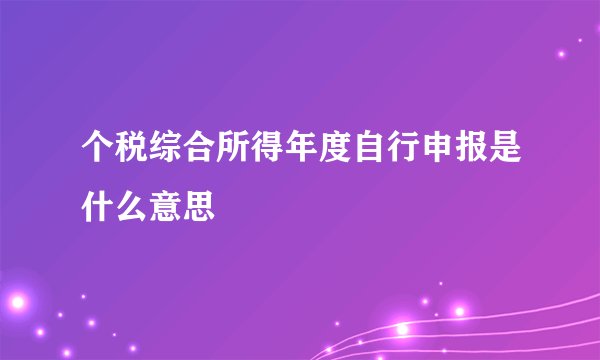 个税综合所得年度自行申报是什么意思