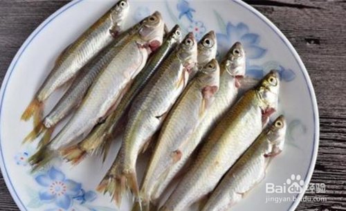 增强免疫力必吃的20种食物是哪些？