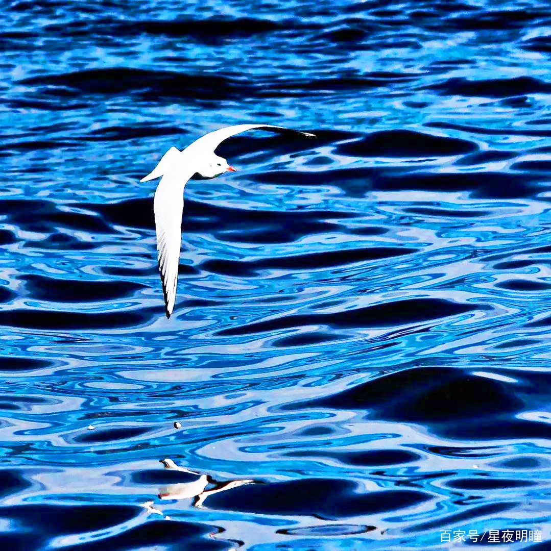 颜色的五行属性?