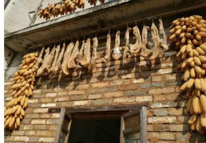 冬藏春发四句话是什么？