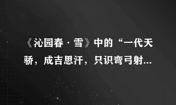《沁园春·雪》中的“一代天骄，成吉思汗，只识弯弓射大雕。”应该怎么理解？