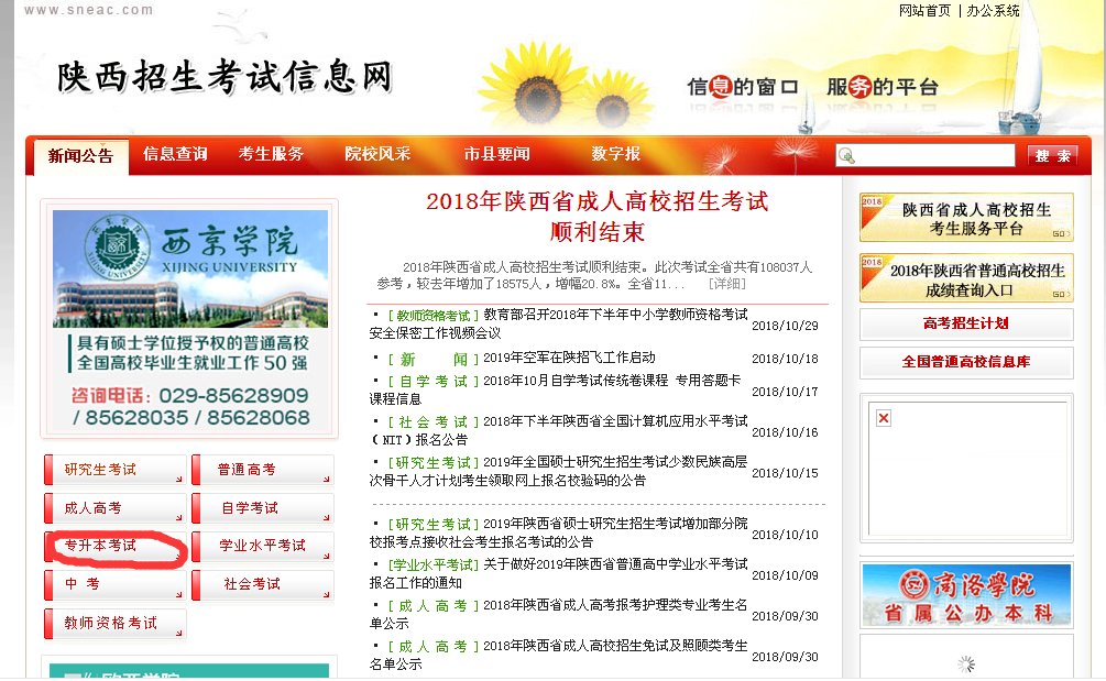 护理专升本考试科目