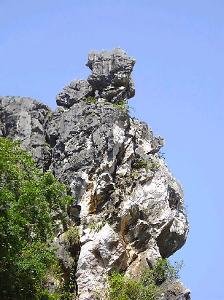 石灰岩是什么样的？