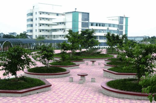 有谁知道芜湖江南实验中学情况啊