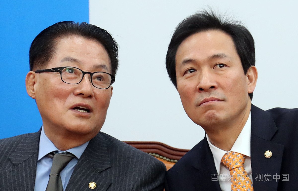 在野党是什么意思