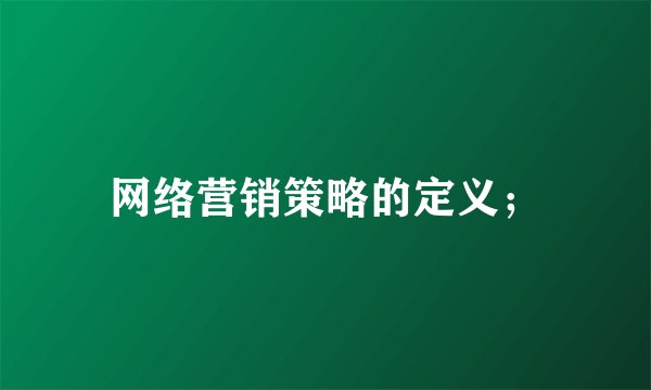 网络营销策略的定义；