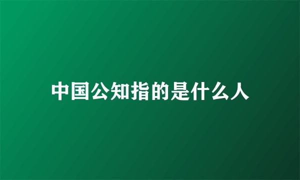 中国公知指的是什么人