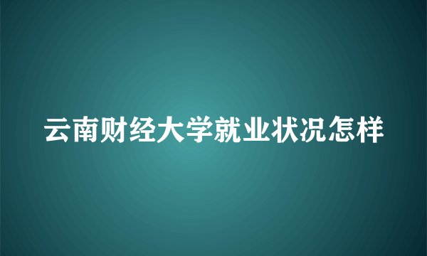云南财经大学就业状况怎样