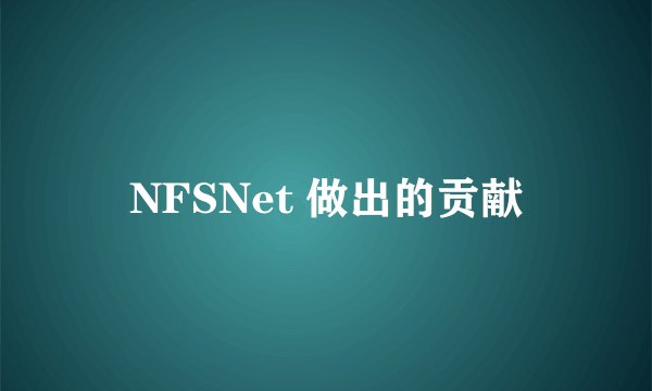 NFSNet 做出的贡献