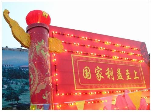 怎样维护国家利益