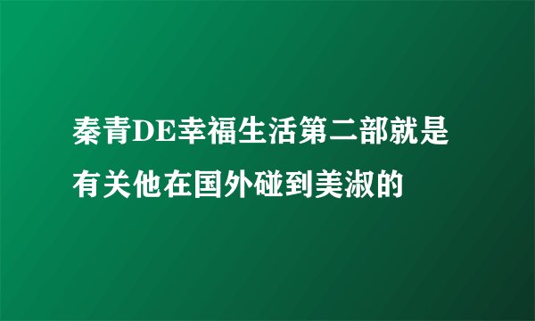 秦青DE幸福生活第二部就是有关他在国外碰到美淑的