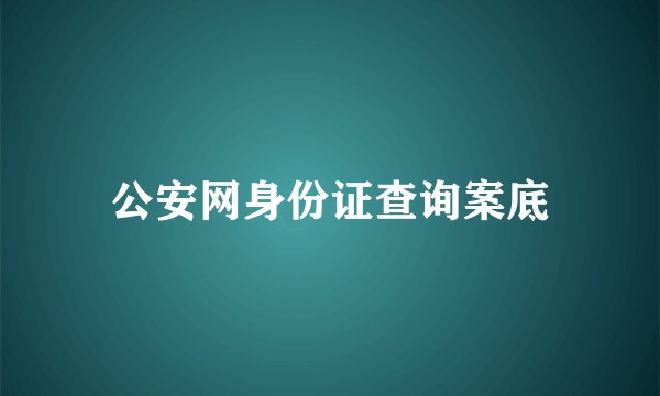 公安网身份证查询案底