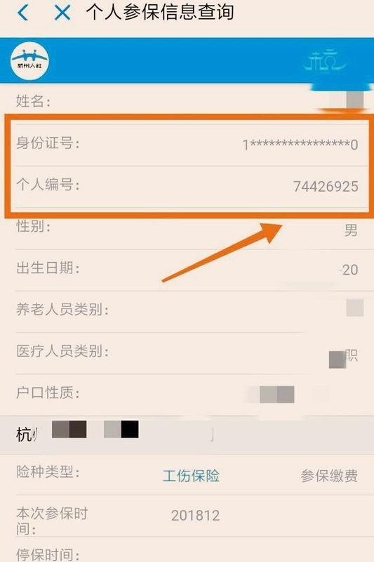 社保授权号在哪里查询