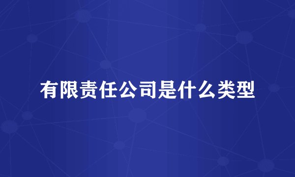 有限责任公司是什么类型