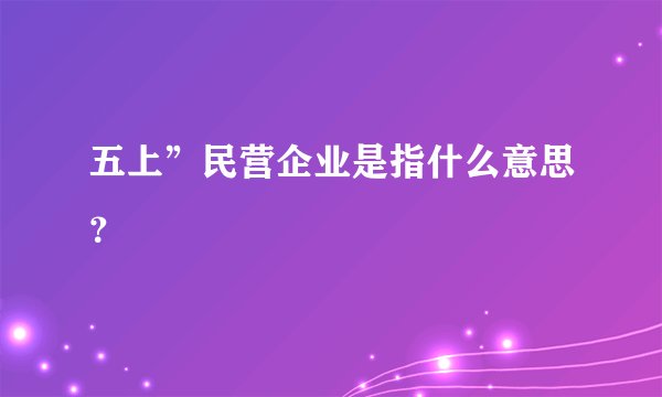 五上”民营企业是指什么意思？