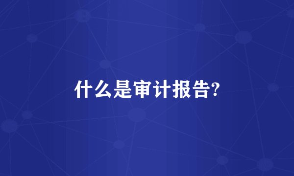什么是审计报告?