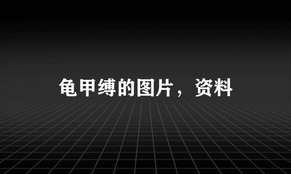龟甲缚的图片，资料