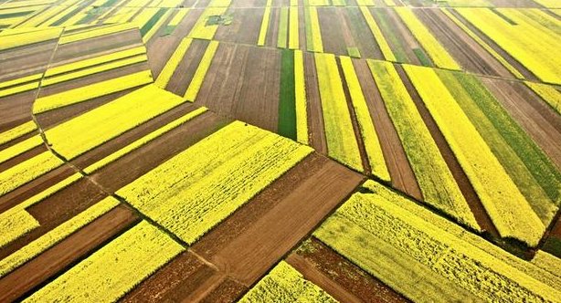 江汉平原包括哪些地方呢？