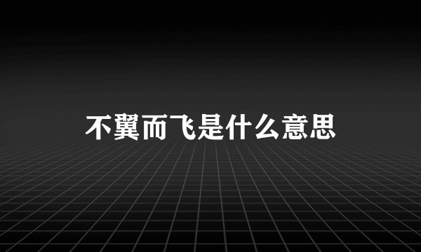 不翼而飞是什么意思