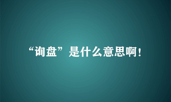 “询盘”是什么意思啊！