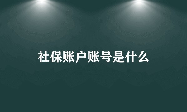 社保账户账号是什么
