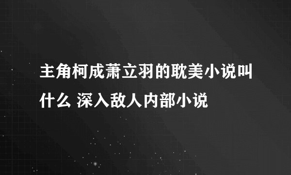 主角柯成萧立羽的耽美小说叫什么 深入敌人内部小说