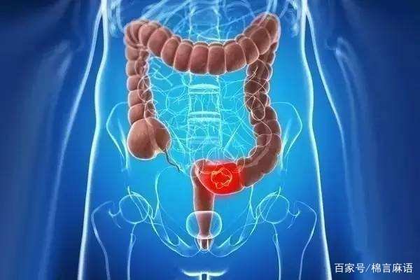 男性前列腺在人体的哪个位置（需要图片）