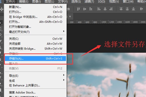 ps怎么调大小 要求调成5m是什么意思啊