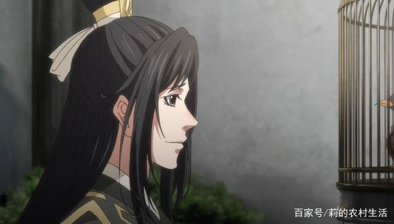 在《魔道祖师》中，聂怀桑为什么被称为“聂导”？
