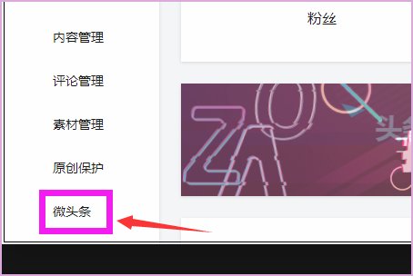 微头条在哪里打开