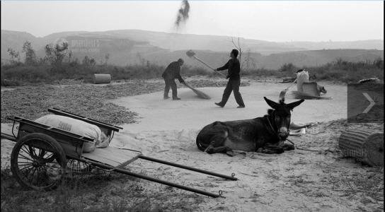 《乡土中国》的大概内容