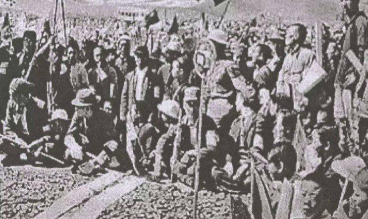 白洋淀纪事的内容简介