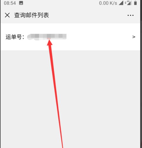 chinaexpress快递怎么查询