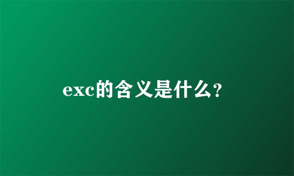 exc的含义是什么？