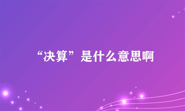 “决算”是什么意思啊