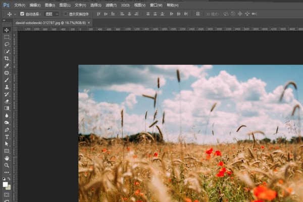 ps怎么调大小 要求调成5m是什么意思啊