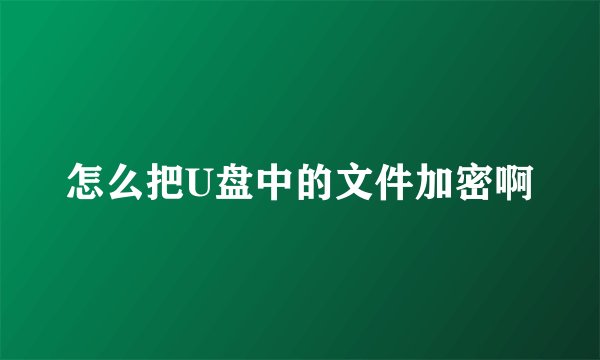 怎么把U盘中的文件加密啊