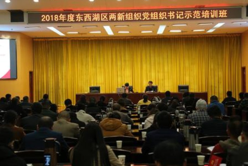 什么叫“两新”组织及其党组织