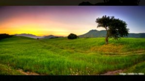 军队函授文凭如何在学信网上认证