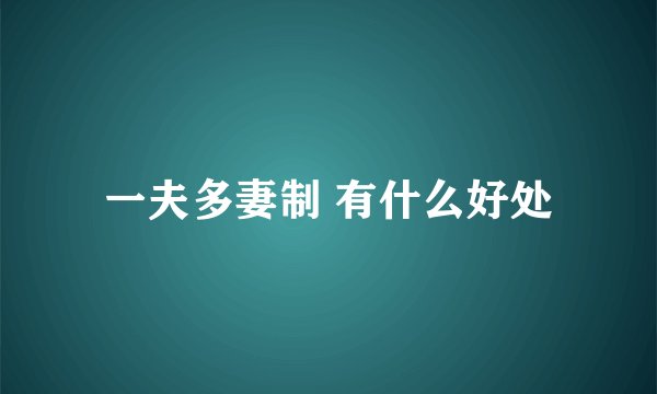 一夫多妻制 有什么好处