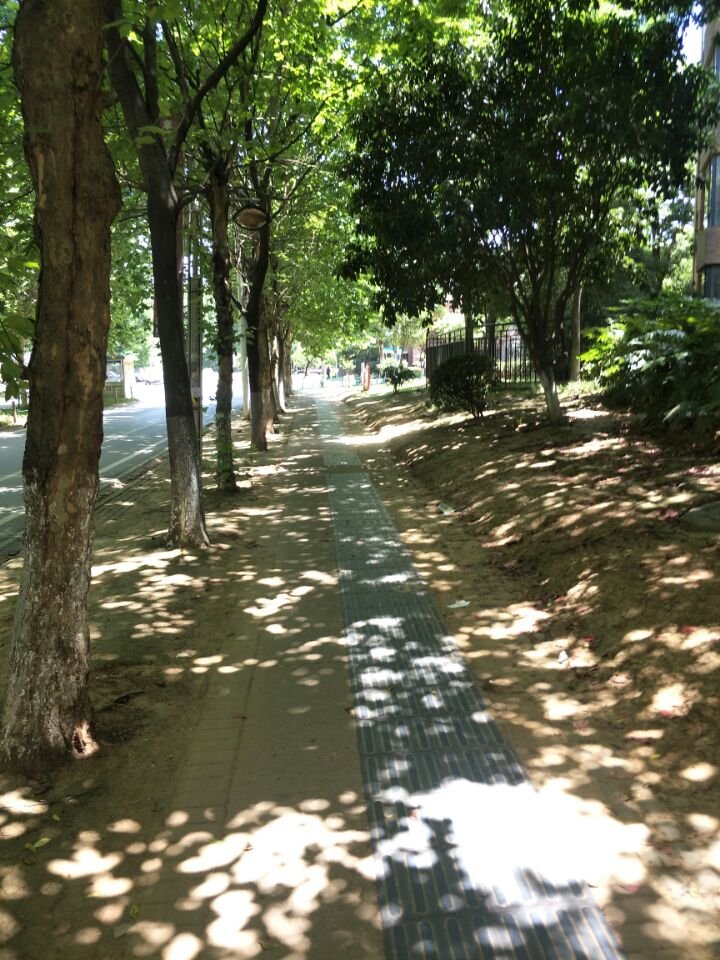 园林专业都是学什么的呀