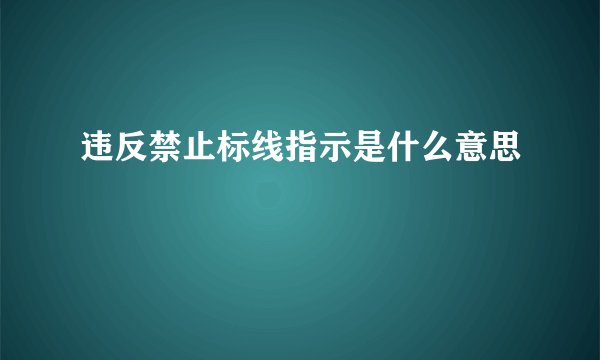 违反禁止标线指示是什么意思