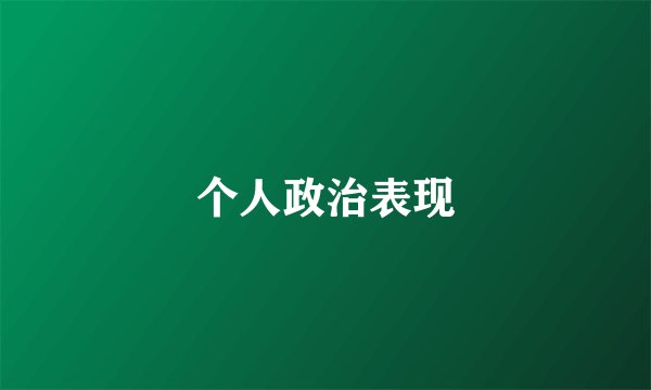 个人政治表现