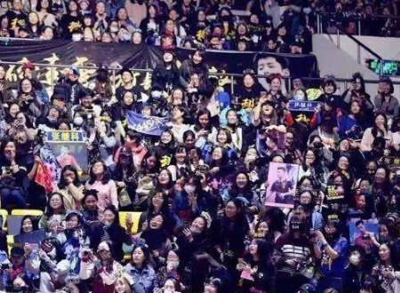 明星的后援会是什么啊？