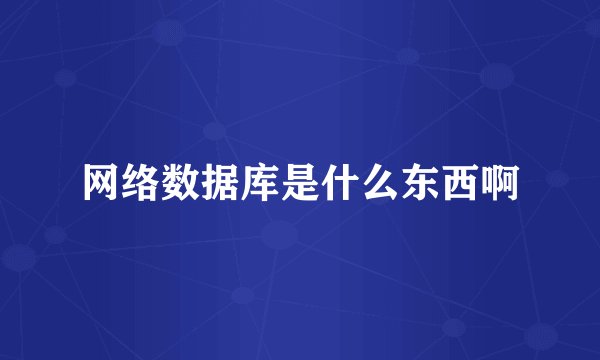 网络数据库是什么东西啊
