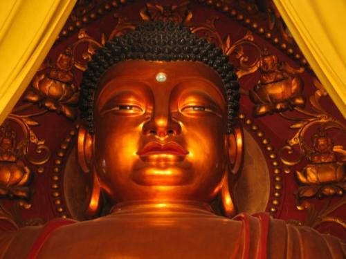 佛教的核心思想是什么