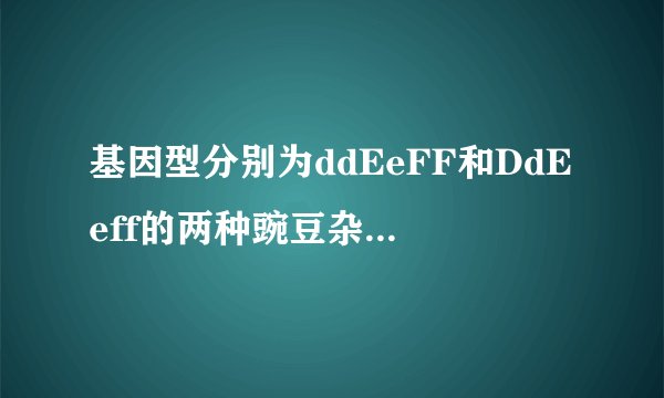基因型分别为ddEeFF和DdEeff的两种豌豆杂交  答案看不懂，谁来帮帮我