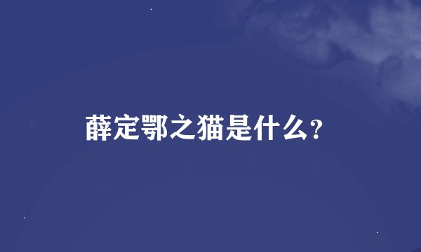 薛定鄂之猫是什么？