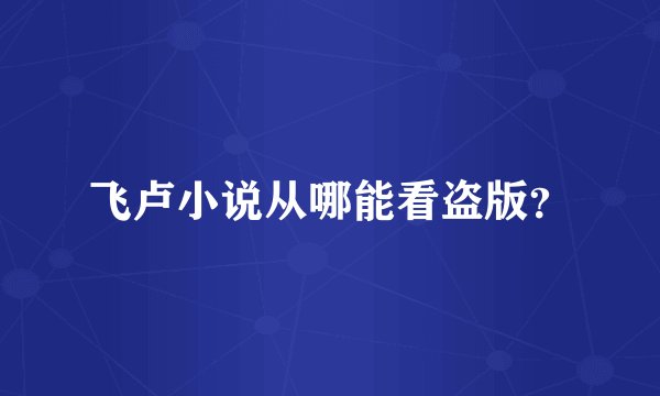 飞卢小说从哪能看盗版？